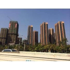 成功案例展示六